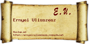 Ernyei Ulisszesz névjegykártya